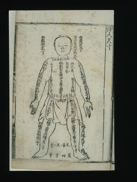 Anatomical measurements, supine figure, Chinese woodcut