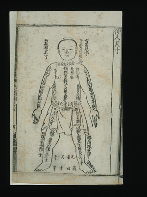 view Anatomical measurements, supine figure, Chinese woodcut