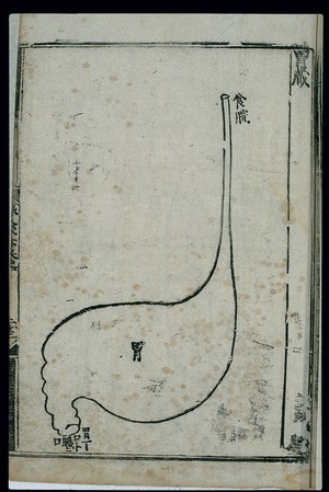 view Anatomy of the stomach in ancient Chinese medicine, woodcut