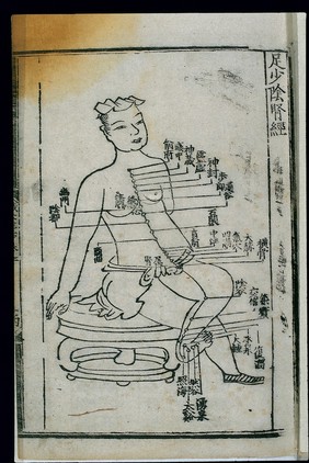 Acupuncture chart, kidney channel of foot shaoyin, Chinese