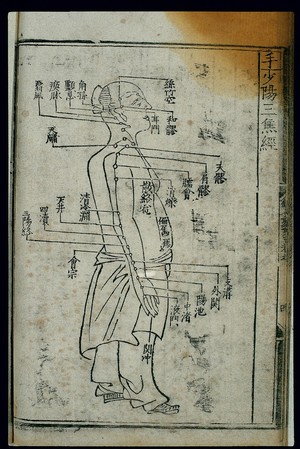 view Acupuncture chart, sanjiao channel of hand shaoyang, Chinese