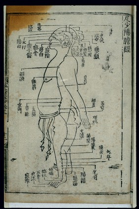 Acupuncture chart, gall bladder channel of foot shaoyang