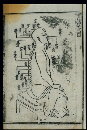 Acupuncture chart, dumai (Governor Vessel), Chinese