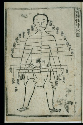 Acupuncture chart, renmai (the Director Vessel)