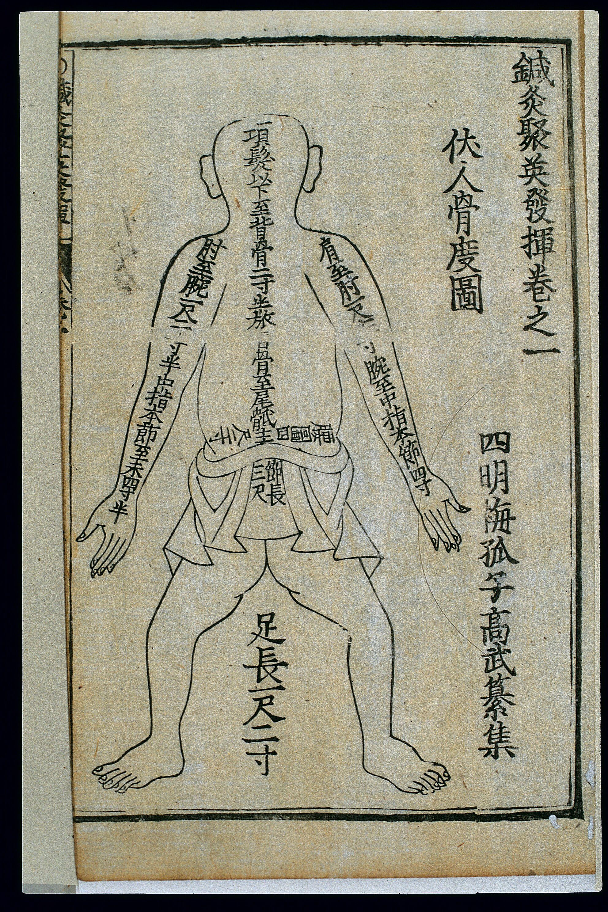 Measurements Of The Bones Back View Chinese Woodcut Wellcome