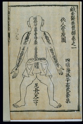 Measurements of the bones, back view, Chinese woodcut
