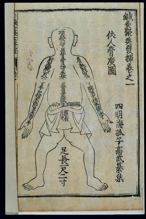view Measurements of the bones, back view, Chinese woodcut