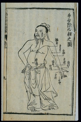 Acupuncture chart, heart channel of hand shaoyin, Chinese