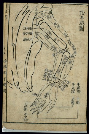 view Three hand yin channels and their acupoints, general chart