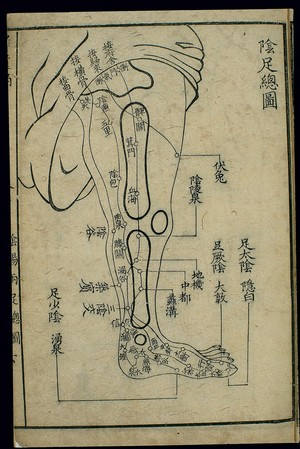 view Three foot yin channels and their acupoints, general chart