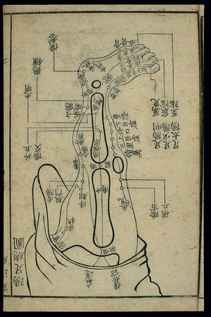 view Three foot yang channels and their acupoints, general chart