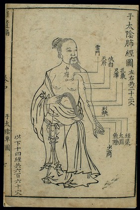 Lung channel of hand taiyin with point names, Chinese woodcut