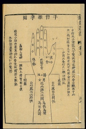 view Paediatric massage (tuina) chart, back of hand and arm