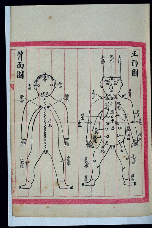 Anterior and posterior whole-body acu-moxa charts, Chinese
