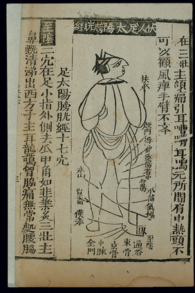 Acu-moxa chart: bladder channel of foot taiyang, prone figure