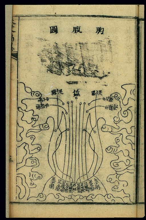 Channel chart, thorax and abdomen, Chinese woodcut