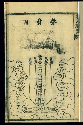 Channel chart, dorsal and spinal area, Chinese woodcut