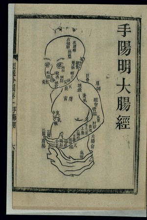 view Acu-moxa chart: large intestine channel of hand yangming