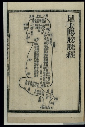 Acu-moxa chart: bladder channel of foot taiyang, Chines