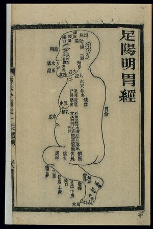 view Acu-moxa chart: stomach channel of foot yangming, Chinese