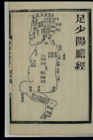 Acu-moxa Chart: Gall Bladder Channel Of Foot Shaoyang | Wellcome Collection