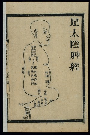 view Acu-moxa chart: spleen channel of foot taiyin, Chinese