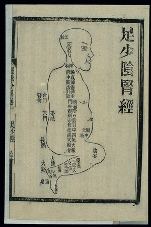 view Acu-moxa chart: kidney channel of foot shaoyin, Chinese