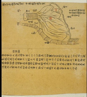 view Anatomical drawing: the lungs and heart nexus, Chinese MS