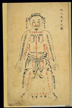 Acu-moxa aid: landmark measurements, Chinese MS, late Qing