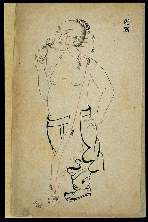 Acu-moxa chart: yangqiao mai (Yang Heel Vessel), Chinese MS