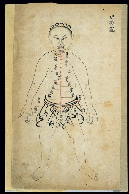 Acu-moxa chart: Renmai (Director Vessel), Chinese MS, Qing