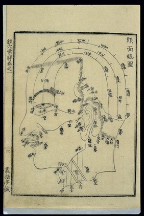 Acu-moxa chart: points of the head and face, Japanese woodcut