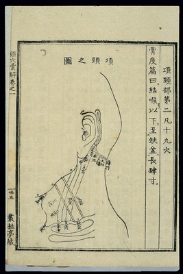 Acu-moxa chart: points of the throat and neck, Japanese