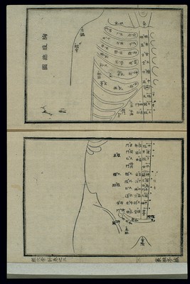 Acu-moxa chart: points of the thorax and abdomen, Japanese