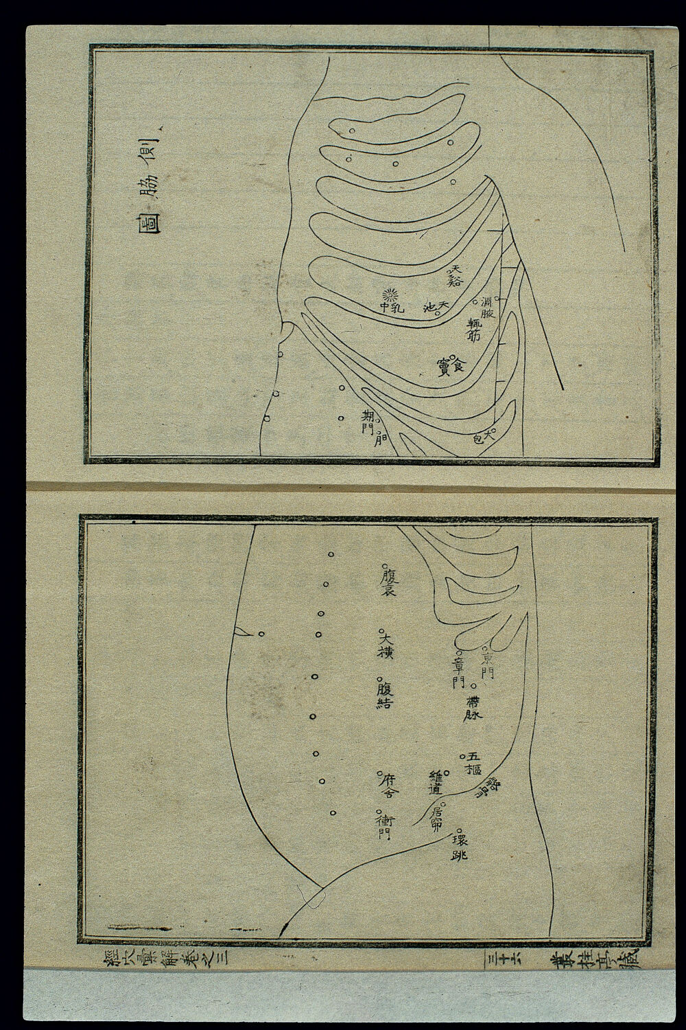 Hara Masakatsu 1807 – body na bočnej strane trupu