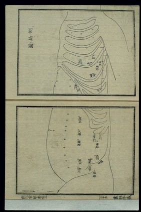 Acu-moxa chart: Points of the side of the torso