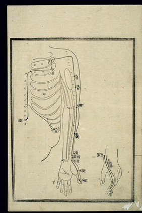 Acu-moxa chart: Lung channel of hand taiyin, Japanese woodcut