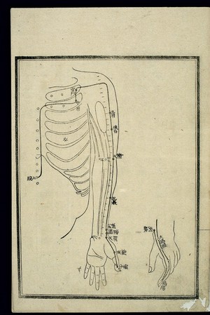 view Acu-moxa chart: Lung channel of hand taiyin, Japanese woodcut