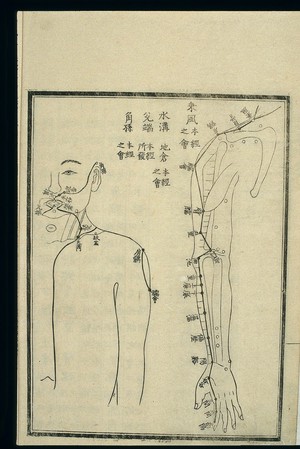 view Acu-moxa chart: large intestine channel of hand yangming