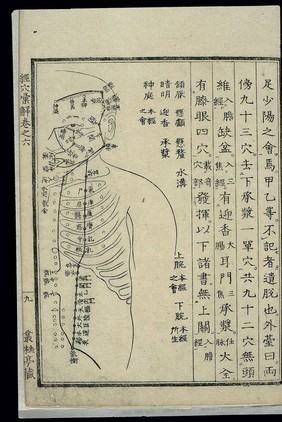 Acu-moxa chart: Stomach channel of foot yangming, Japanese