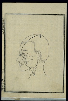 Acu-moxa chart: Liver channel of foot jueyin in the head