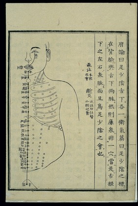 Acu-moxa chart: Renmai (the Director Vessel), Japanese