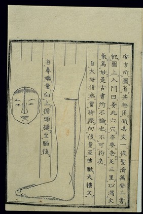 Acu-moxa chart: Diagram for locating the Four-Flower Points