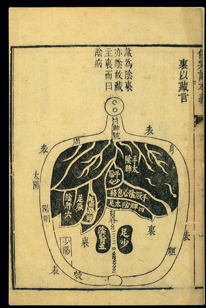 view Pathologies of Yin channels manifested internally