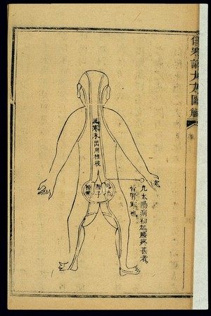 view Theory of diseases treated with cassia twig & monkshood root