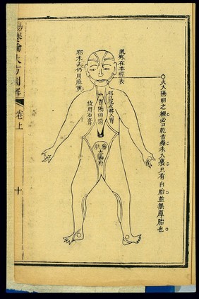 Theory of diseases treated with da qinglong tang, Chinese