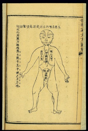 view Theory of diseases treated with cassia twig and rhubarb