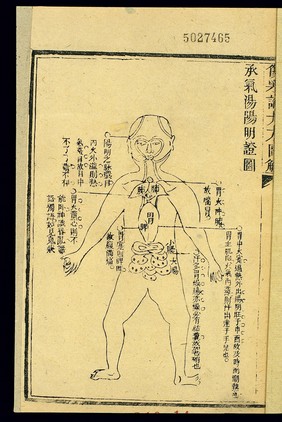 Theory of yangming syndromes treated with cheng qi tang