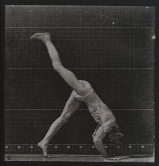 A man performing a forward flip. Collotype after Eadweard Muybridge, 1887.