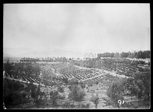 view Palace of Bagh-e Bala